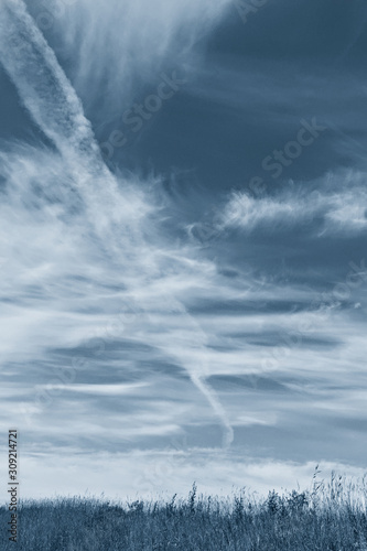 Sky in cirrus clouds in classic blue. © Светлана Густова