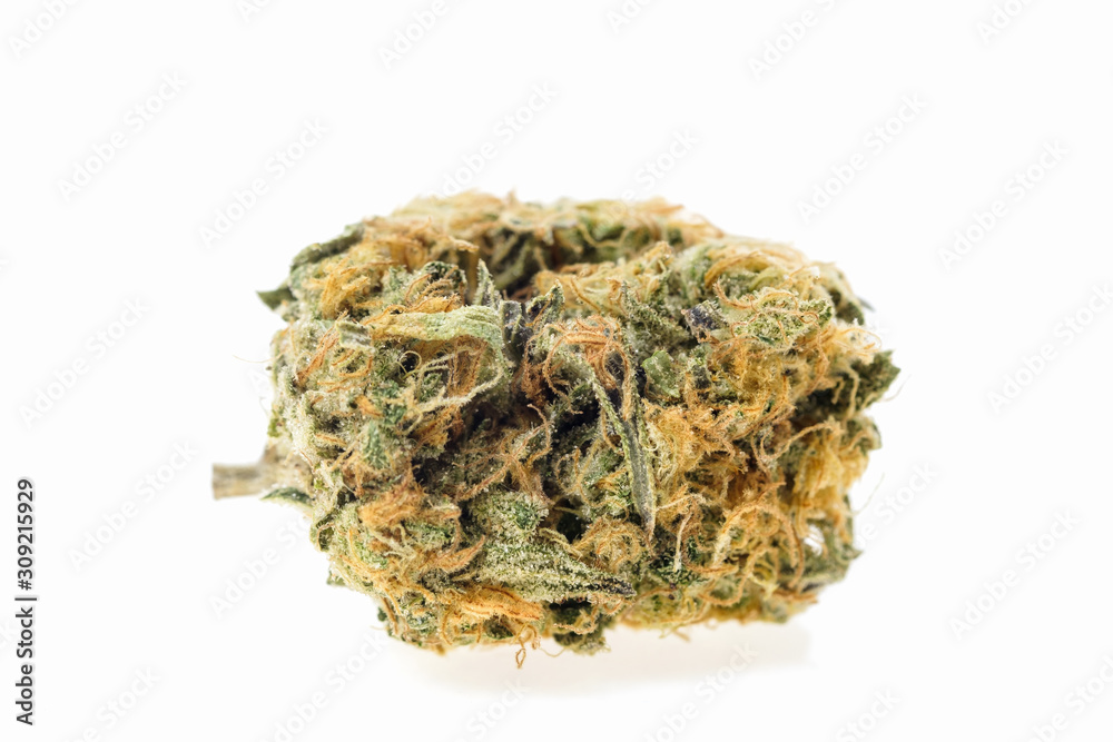 Marijuana. Marijuana.