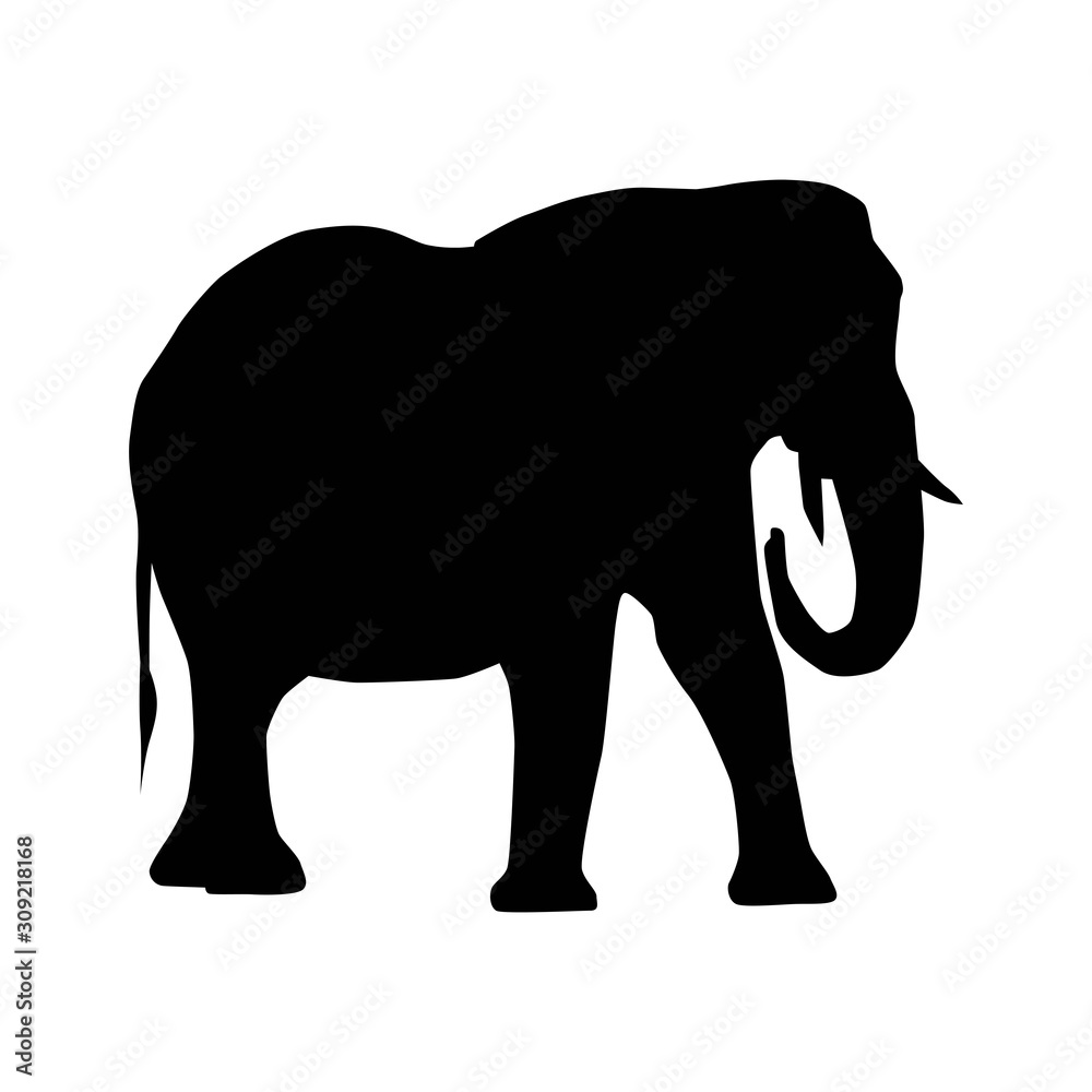 african elephant (Loxodonta) from side with trunk down and curled silhouette vector isolated on white background african elephant (Loxodonta) from side with trunk down and curled silhouette vector isolated on white background