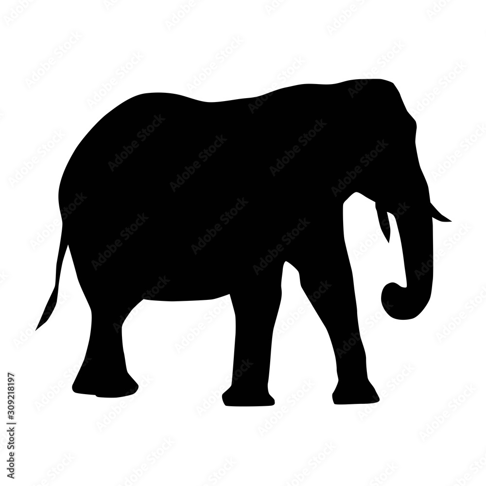 african elephant (Loxodonta) from side with trunk down and curled silhouette vector isolated on white background