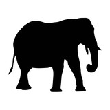 african elephant (Loxodonta) from side with trunk down and curled silhouette vector isolated on white background