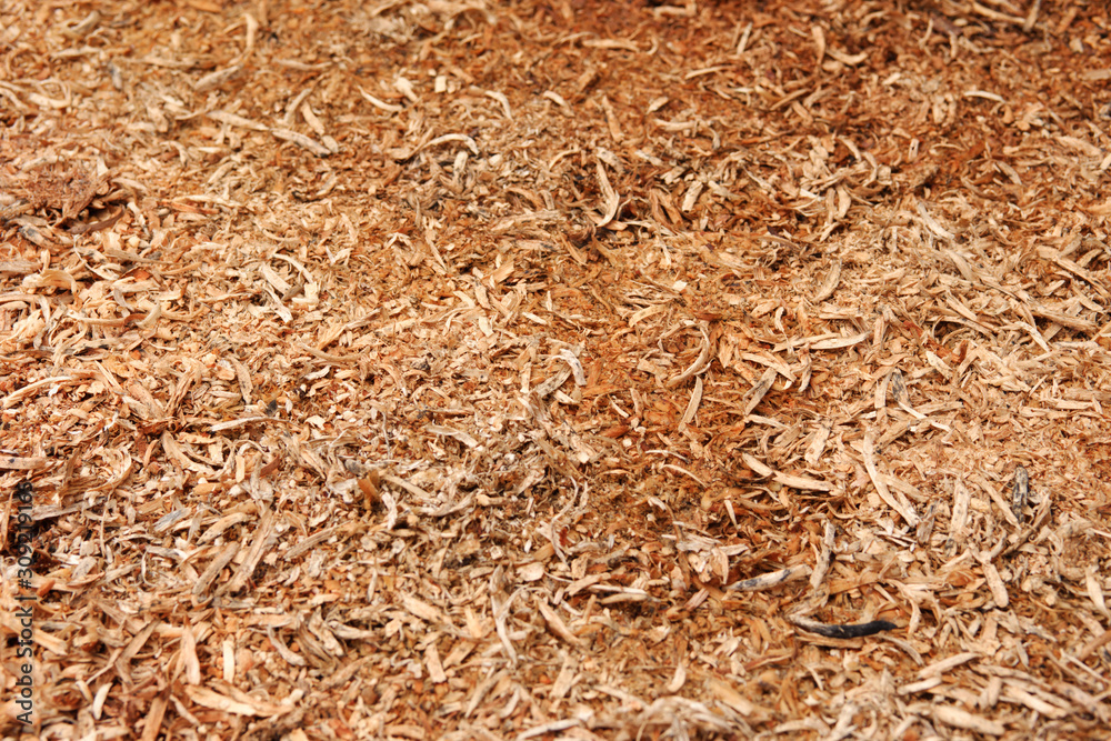 Texture of sawdust is still wet Texture of sawdust is still wet