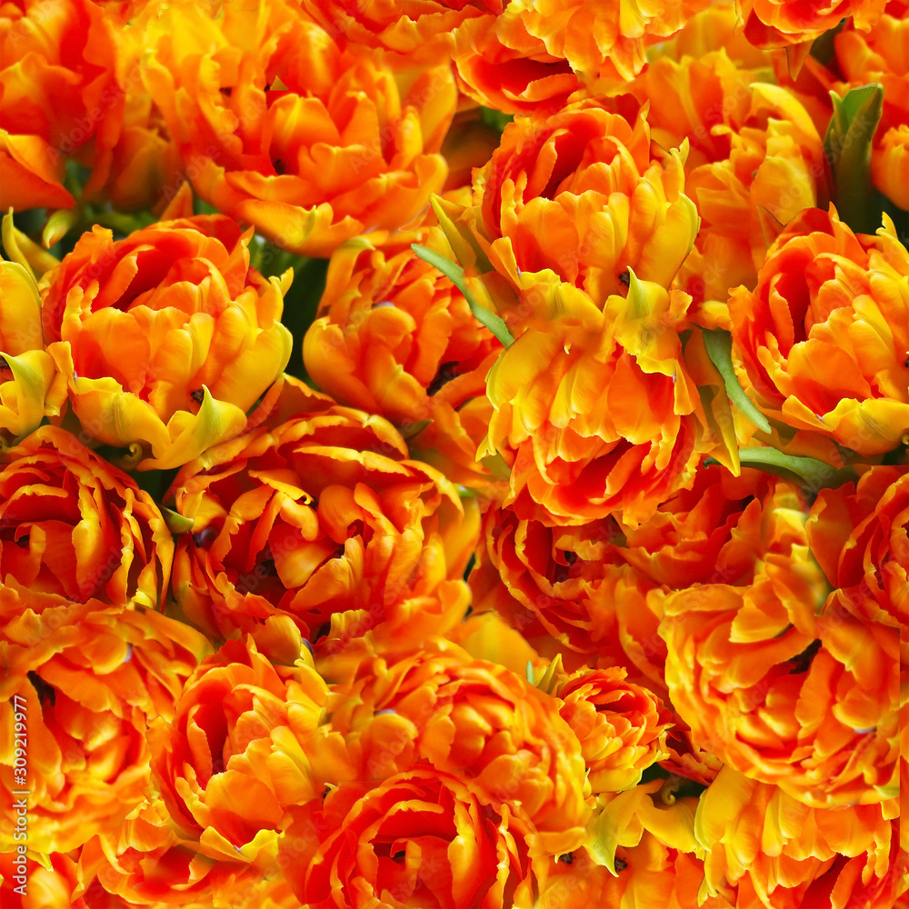 Orange and yellow tulips flower seamless pattern Orange and yellow tulips flower seamless pattern
