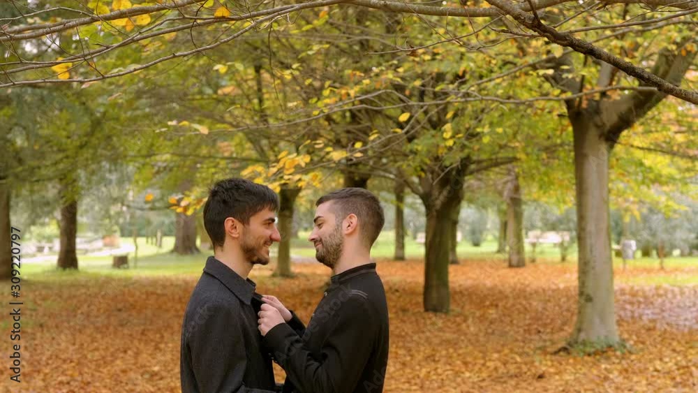 two young gays talking, smiling, touching and kissing under the trees two young gays talking, smiling, touching and kissing under the trees