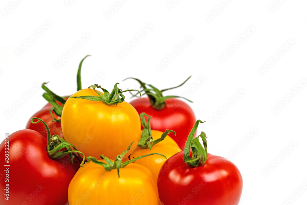 Rote und gelbe Tomaten vor weißem Hintergrund Rote und gelbe Tomaten vor weißem Hintergrund