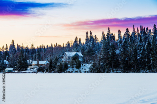 fir forest winter © Mircea Costina