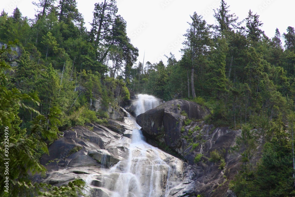 Fototapeta premium waterfall in forest