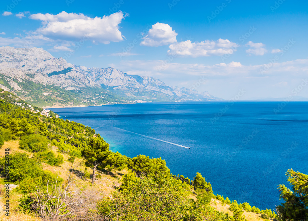 Croatia coastline with blue sea water, pine trees and mountains on background