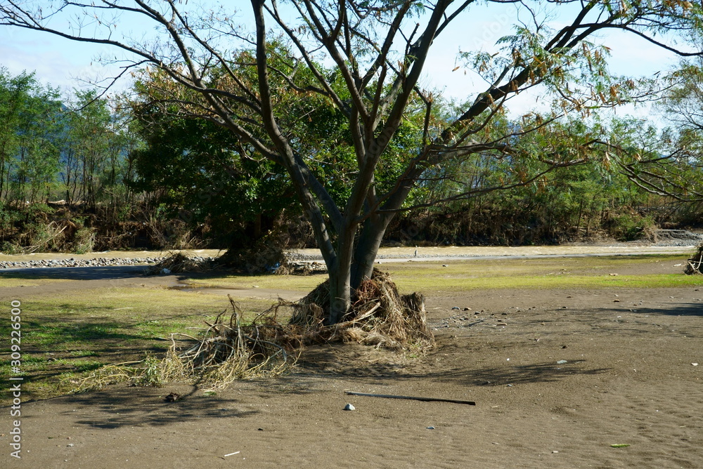Flood damage caused by Typhoon No.19 Flood damage caused by Typhoon No.19