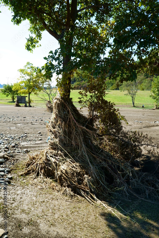 Flood damage caused by Typhoon No.19 Flood damage caused by Typhoon No.19
