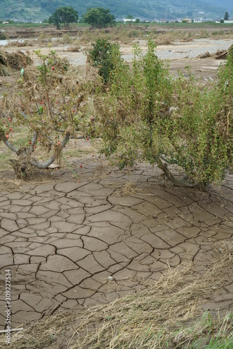 Flood damage caused by typhoon 19 