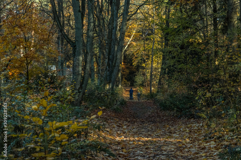 Obraz premium waldfriedhof zehlendorf