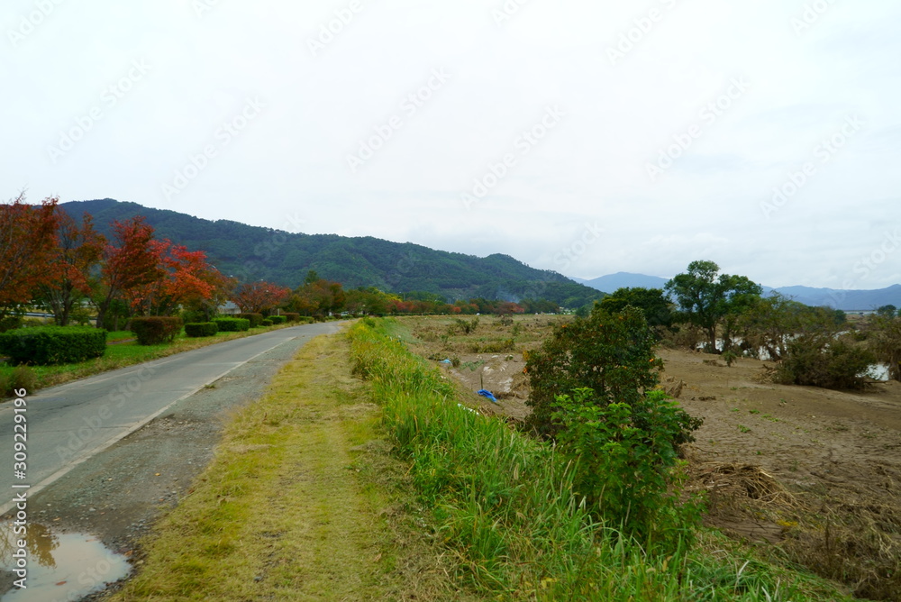 Flood damage caused by typhoon 19 