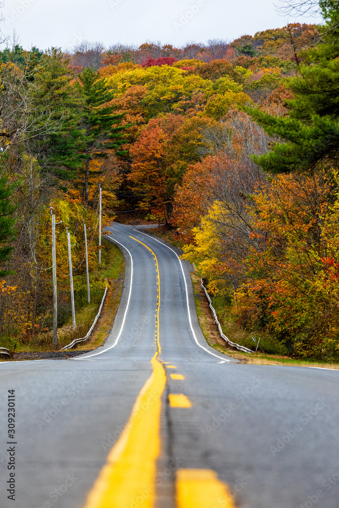 Low angle image of a road taken during peak foliage in New England