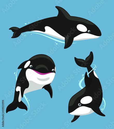 killer whale cartoon