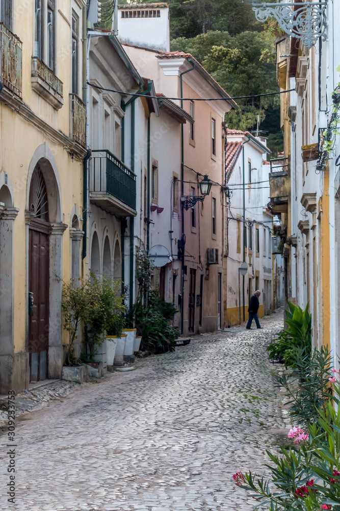 Fototapeta premium Cobblestone alley winding through traditional Portuguese old town buildings