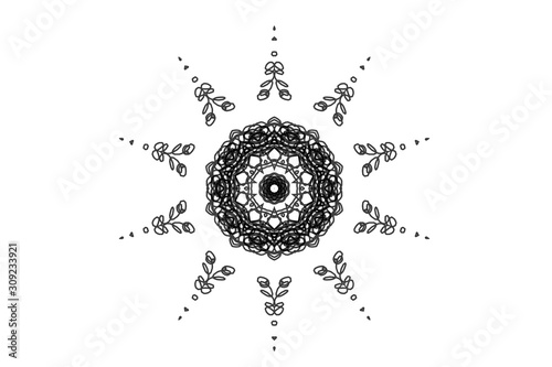 Abstract background floral ornament , Isolated on white background.