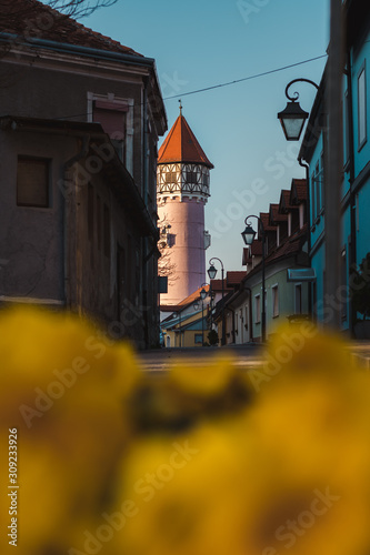 Narrow street with water tower photo