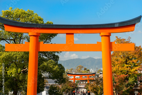 Torii gate in Fushimi Inari Shrine  Kyoto  Japan