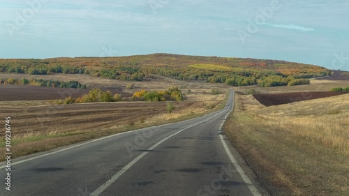 A winding road into the beautiful distance through fields and forests.