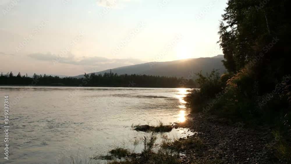 Beautiful sunset, the rays of the sun are reflected in the river. The cold river flows quietly. Around the forest, trees, grass, stones on the shore, mountains. Warm summer evening. 4k close up Beautiful sunset, the rays of the sun are reflected in the river. The cold river flows quietly. Around the forest, trees, grass, stones on the shore, mountains. Warm summer evening. 4k close up