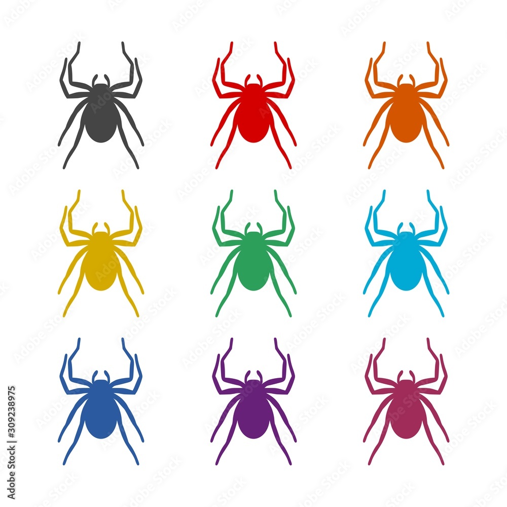 Spider color icon set isolated on white background Spider color icon set isolated on white background