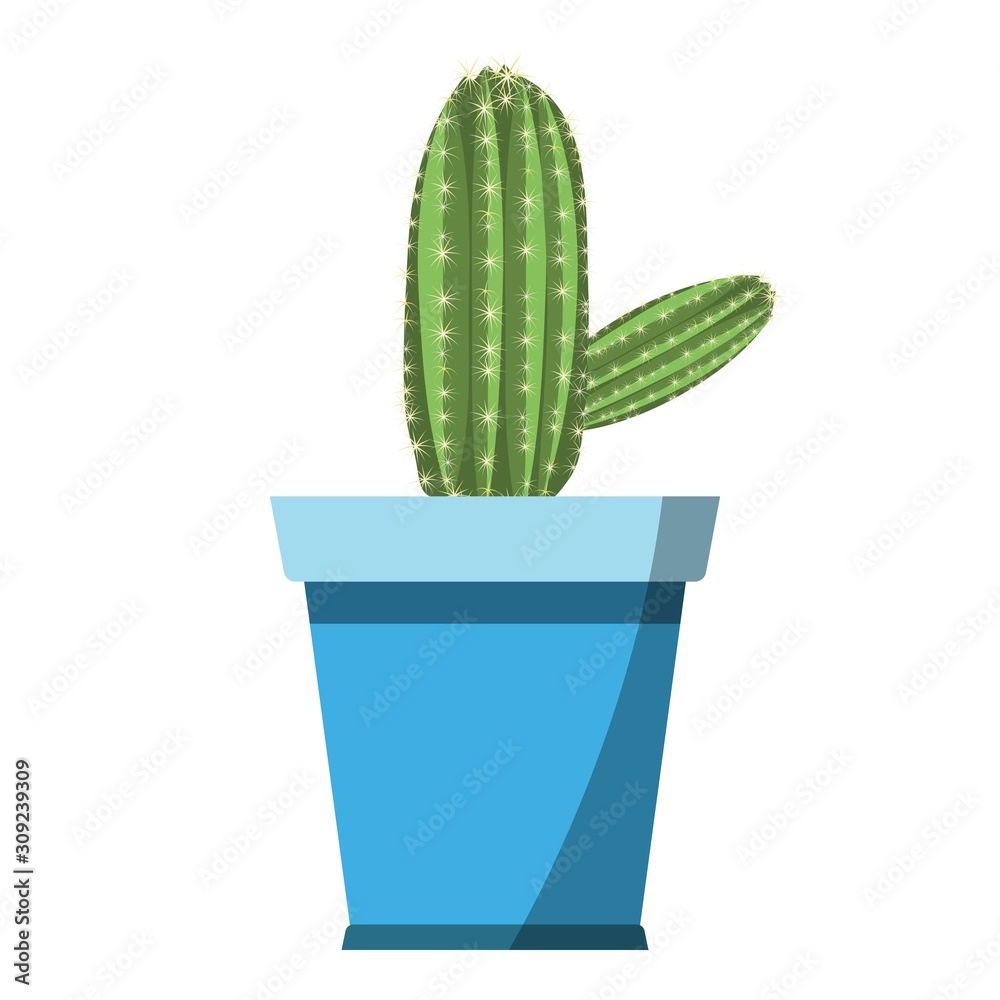 Potted cute cactus vector in blue flower pot isolated on white background Potted cute cactus vector in blue flower pot isolated on white background