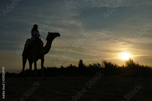 Eine Frau sitzt auf einem Kamel in der W  ste  Silhouette im Gegenlicht vor dem Sonnenuntergang