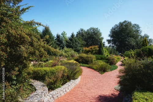 The territory of a well-groomed beautiful park in the summer.