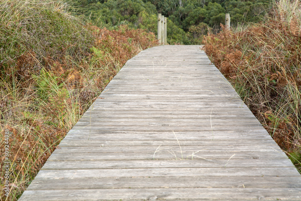 Footpath at Xago Beach, Asturias