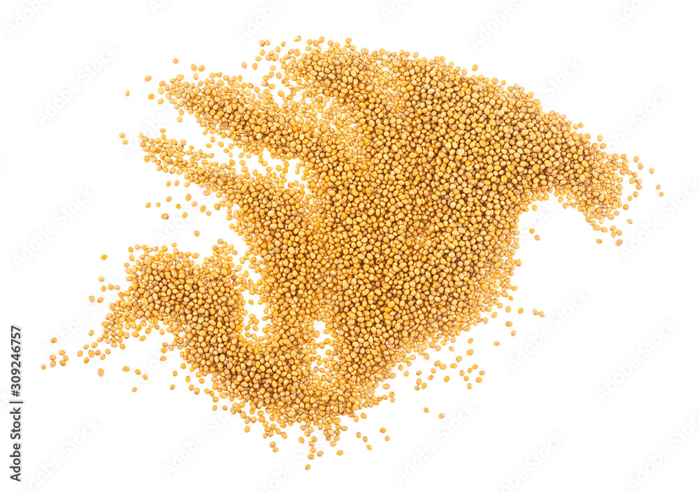 Pile of yellow mustard seeds isolated on white background, top view Pile of yellow mustard seeds isolated on white background, top view