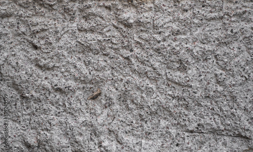 Concrete grey wall covered with gray cement texture as background can be used in design.