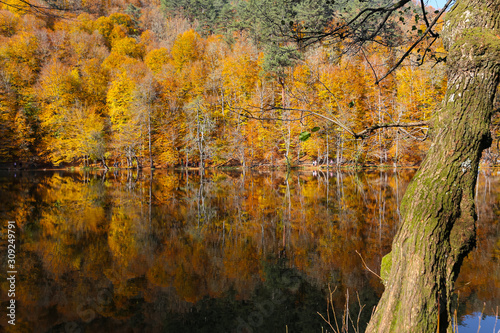 Buyuk Lake in Yedigoller National Park, Bolu, Turkey