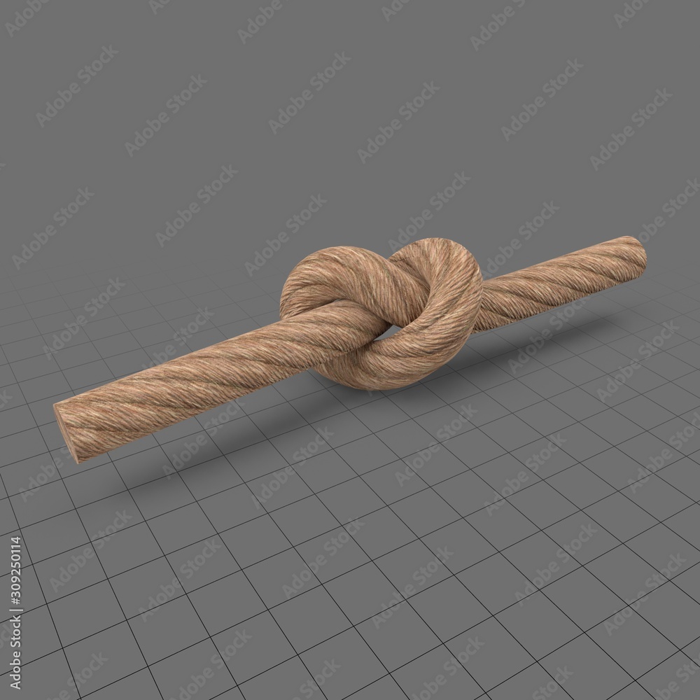 Rope with tied knot Stock 3D asset
