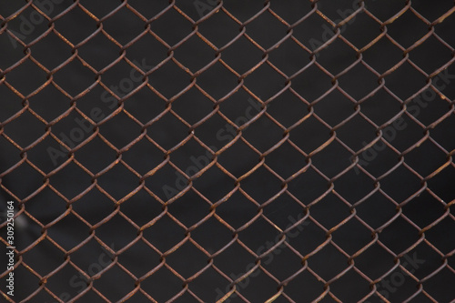 Fotografie texture photo lattice fence
