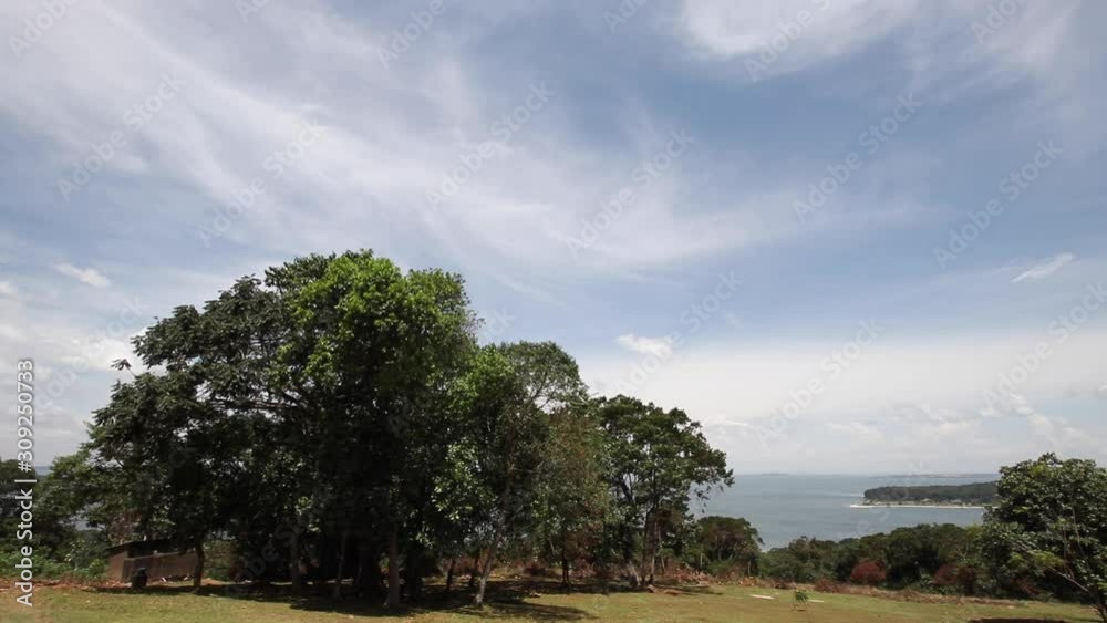 Wide view of large trees in front of Lake Victoria archipelago and cloudy sky Wide view of large trees in front of Lake Victoria archipelago and cloudy sky