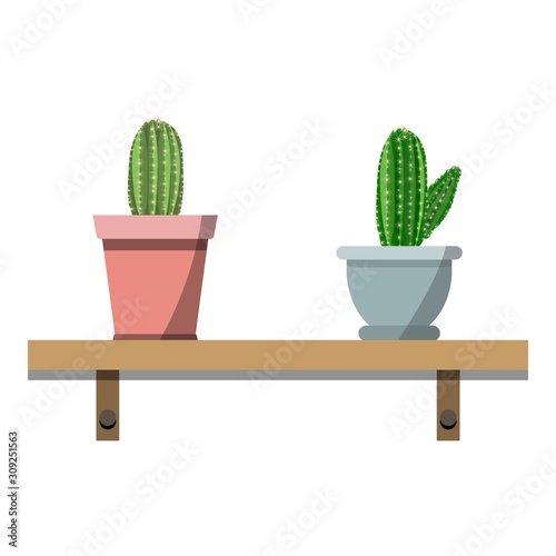 2 potted cactus plants in proper colorful flower pots against white wall. House plants on woden shelf isolated on white