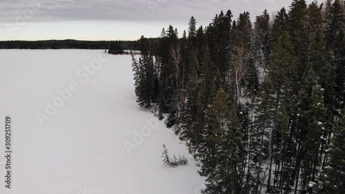 Drone crash!  Drone flying above a frozen lake flies off course and into the top of a 50 foot tall spruce tree.  After hitting the tree it continues to film as it tumbles to the snowy ground. photo