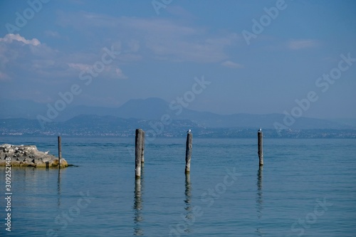 boat on the lake