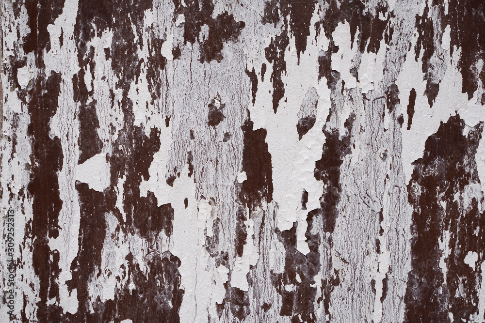 Fototapeta premium Old cracked white paint on metal wall. Cracked painted white wall. Texture or background.