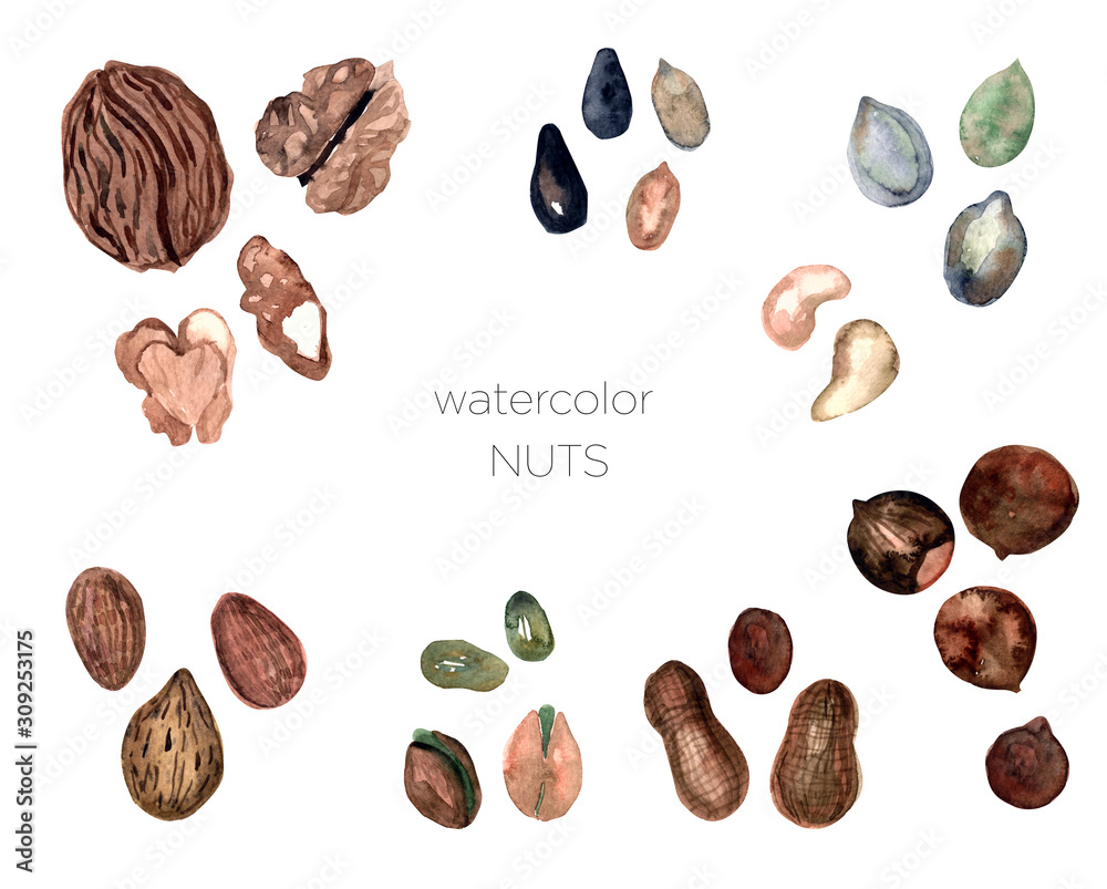 Set of watercolor nuts, hand painted isolated on a white background.Peanut, pistachios, almond,cashew, walnut,hazelnut,sunflower seeds,pumpkin seed Set of watercolor nuts, hand painted isolated on a white background.Peanut, pistachios, almond,cashew, walnut,hazelnut,sunflower seeds,pumpkin seed