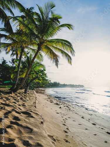 Fototapeta Naklejka Na Ścianę i Meble -  Palmtree beach at sunset