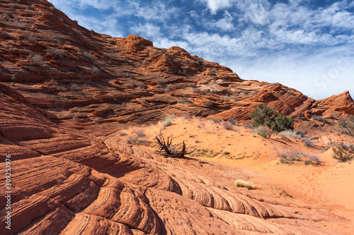 The harsh desert landscape of North Coyote Buttes.