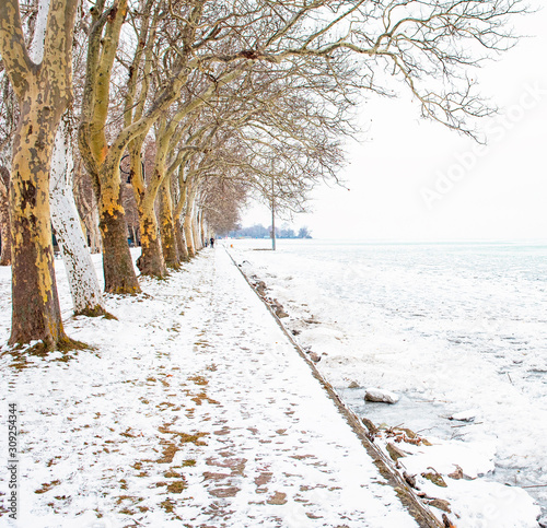 Nice winter scene at lake B...
