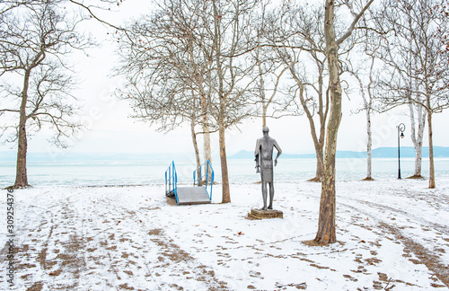 Nice winter scene at lake B...