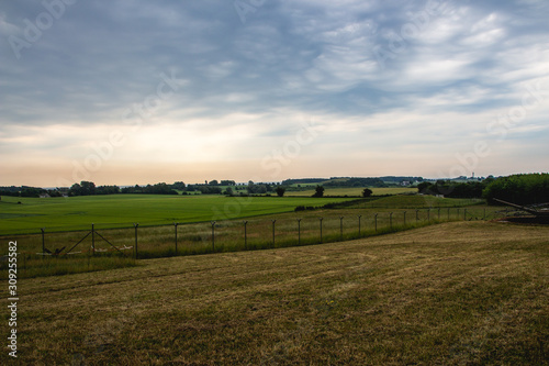 Rural landscape with wheat field and blue sky