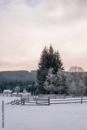 Beautiful winter landscape at sunset, in the background of the forest and houses