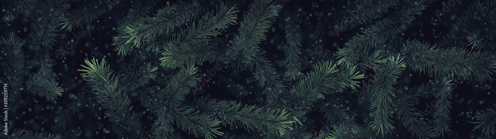 Tannenbaum Tannenbaum