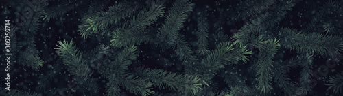 Tannenbaum