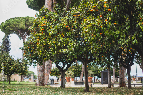 Canvas Print View of Savello Park in Rome, the Orange Garden, in italian: guardino degli Aran